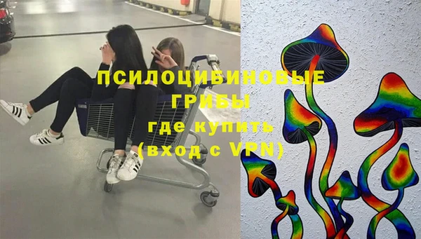 стаф Семёнов