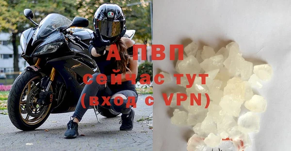 стаф Семёнов