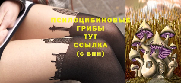 крисы Семилуки