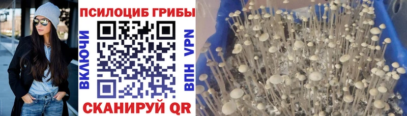 Галлюциногенные грибы ЛСД  купить   Галич 
